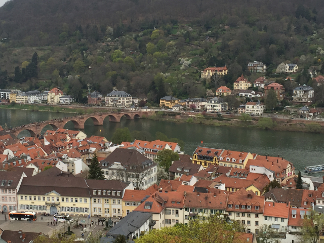 Things to do and see in Heidelberg, Germany